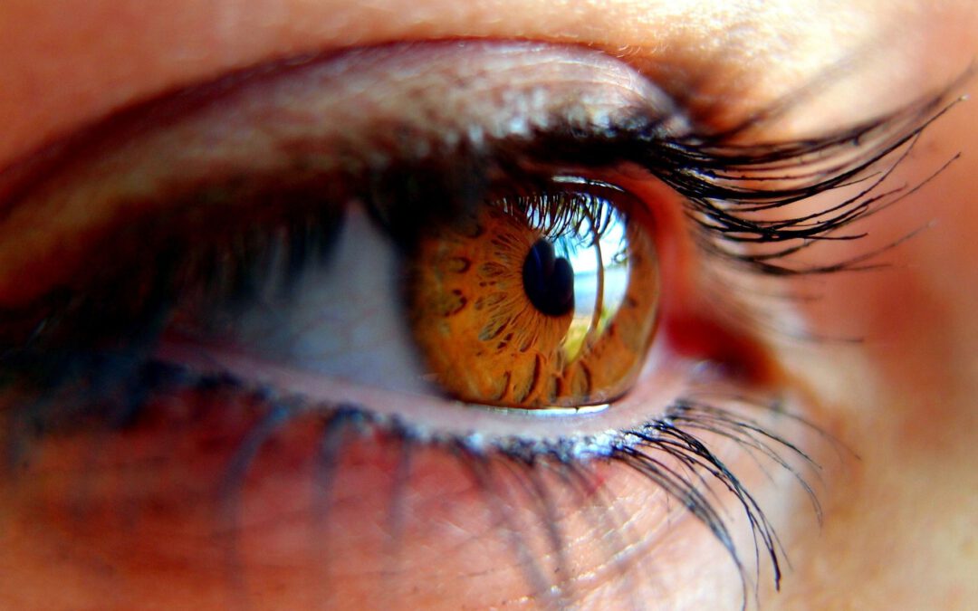 Wimpernstyling